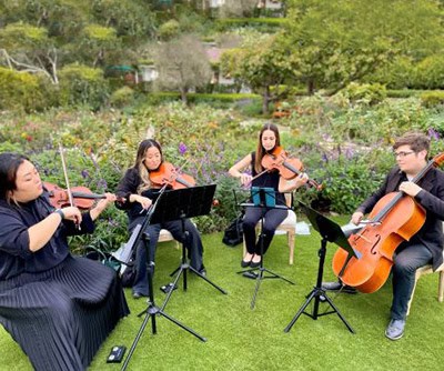 Jason Sulkin Music String Quartet Ensemble