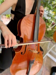 Moorpark String Quartet Eden Gardens